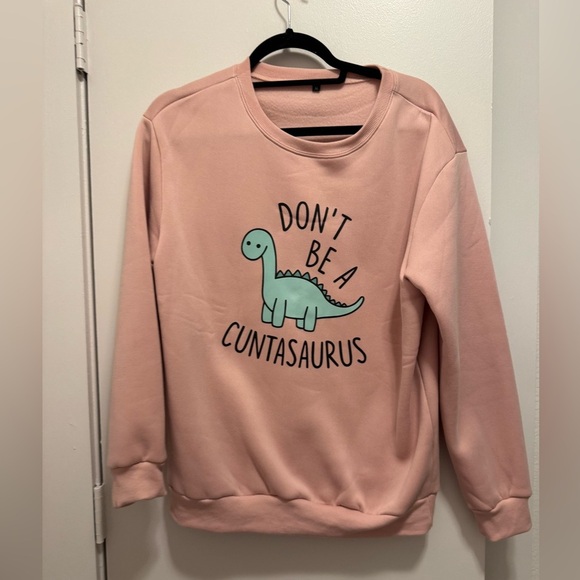 Women’s Medium Don’t Be A C*ntasaurus Pullover Sweater in pink NWOT - Picture 1 of 8
